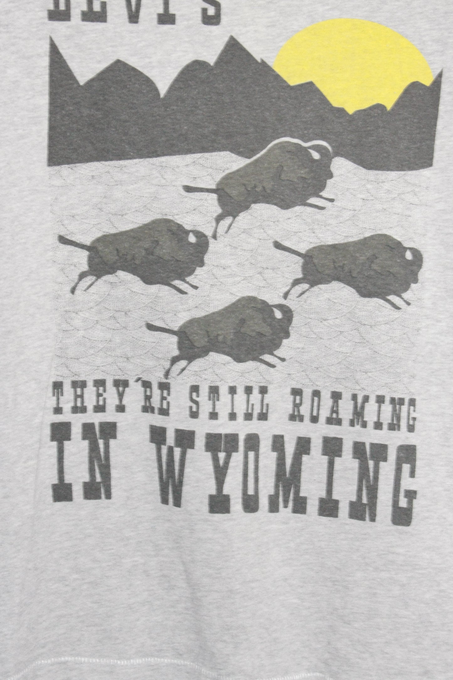 Graphic Tee BUFFALO